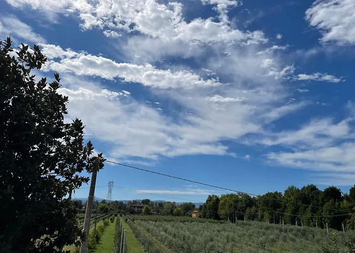 Natura سبيلامبيرتو