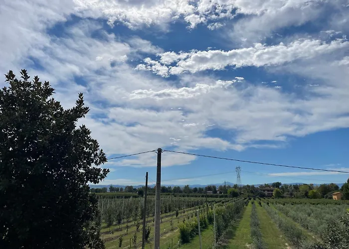 فندق مبيت وإفطار Natura 3*